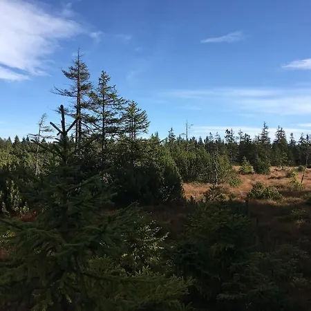 Daire Klinovec Meadows Residence, Two Bedroom Loučná pod Klínovcem