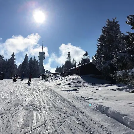 Klinovec Meadows Residence, Two Bedroom Lägenhet Loučná pod Klínovcem