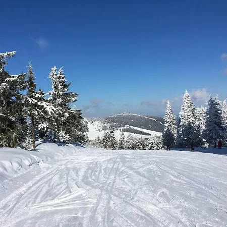 Klinovec Meadows Residence, Two Bedroom *