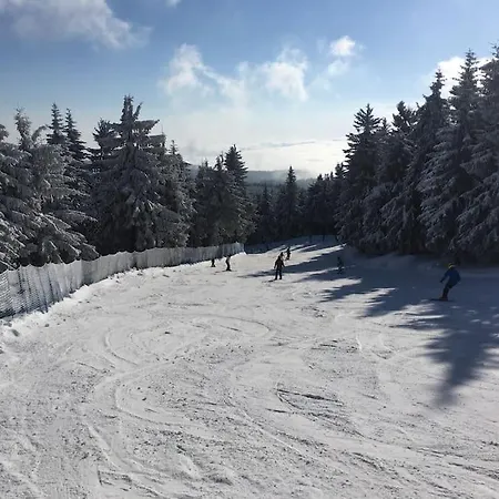 Daire Klinovec Meadows Residence, Two Bedroom