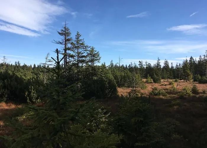 Apartment Klinovec Meadows Residence, Two Bedroom Loucna pod Klinovcem