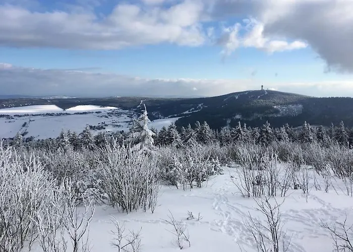 Daire Klinovec Meadows Residence, Two Bedroom