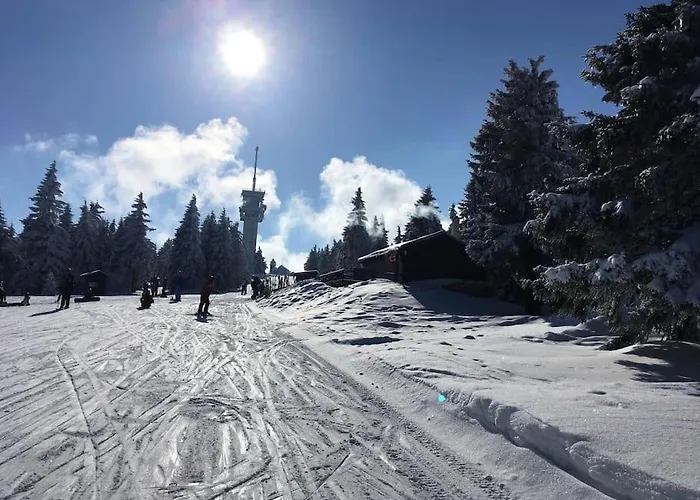 Klinovec Meadows Residence, Two Bedroom Apartment Loucna pod Klinovcem