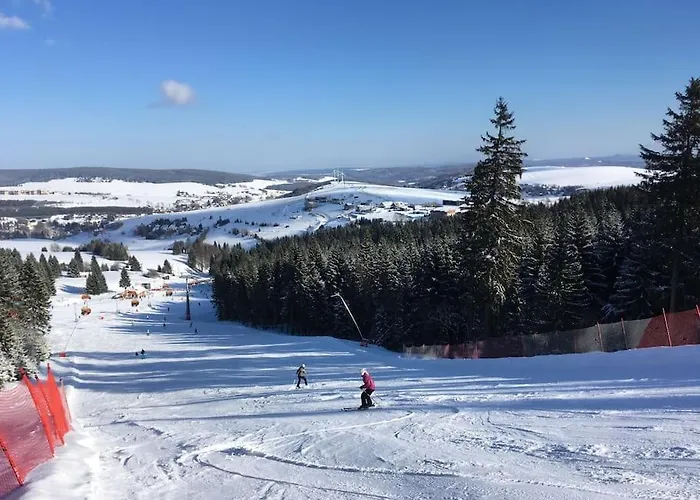 Daire Klinovec Meadows Residence, Two Bedroom *