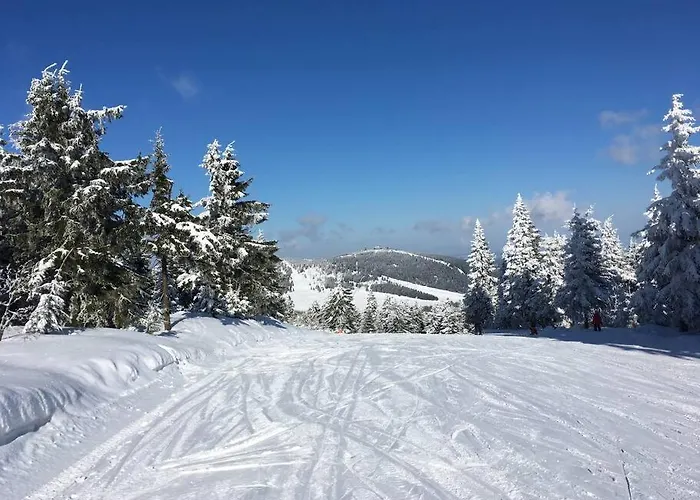 Klinovec Meadows Residence, Two Bedroom *