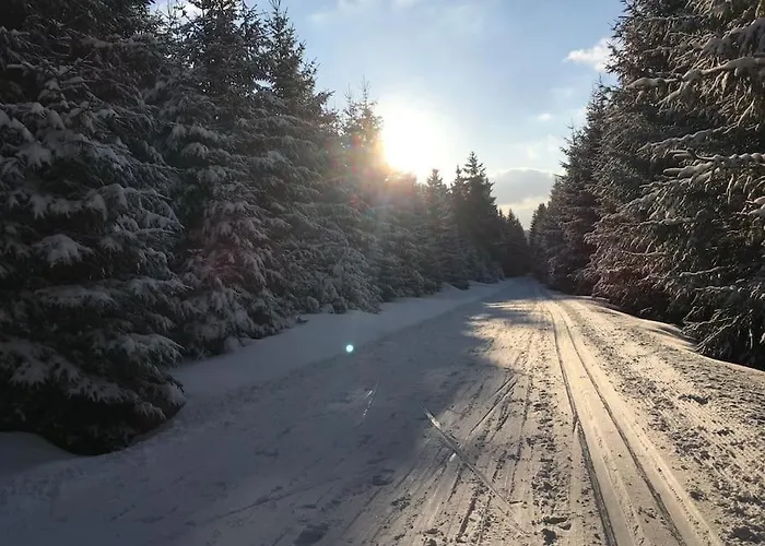 Daire Klinovec Meadows Residence, Two Bedroom Loučná pod Klínovcem